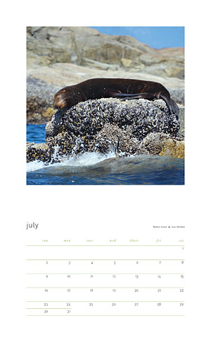 Among Nature Vancouver Island 2017 calendar sample month
